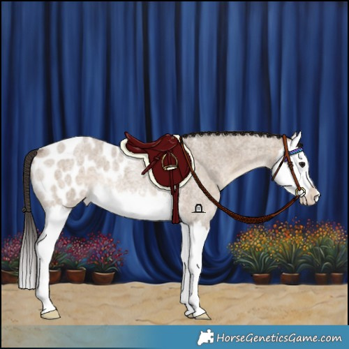 Horse Color:Brown Roan Dun Splash Blanket Rabicano