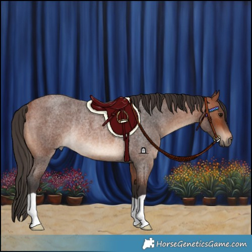 Horse Color:Bay Roan Rabicano 