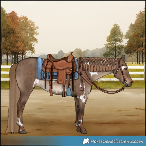 Horse Color:White Spotted Liver Red Dun Brindle