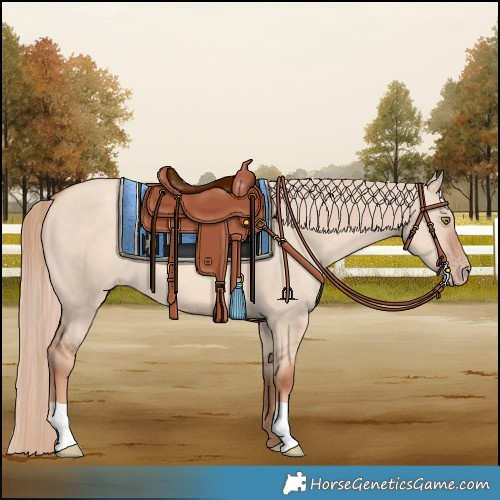 Horse Color:Gold Champagne Dun
