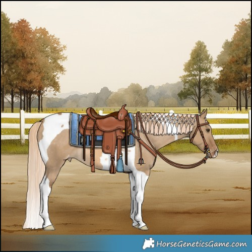 Horse Color:Chocolate Palomino Dun Tobiano Varnish