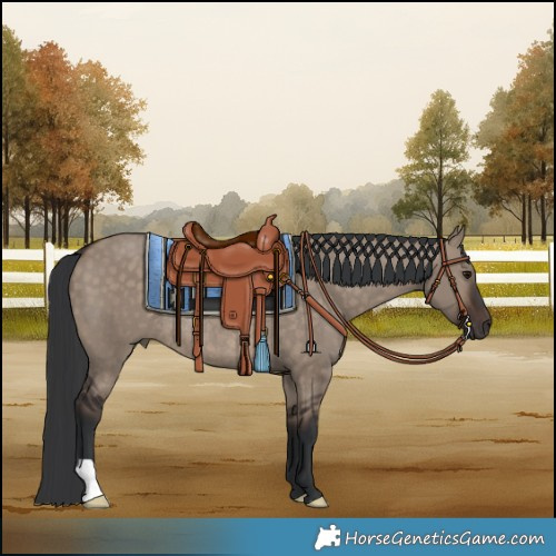 Horse Color:Brown Dun Rabicano 