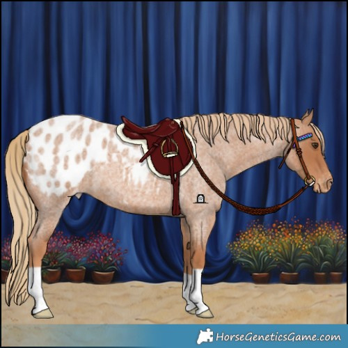 Horse Color:Red Roan Blanket 