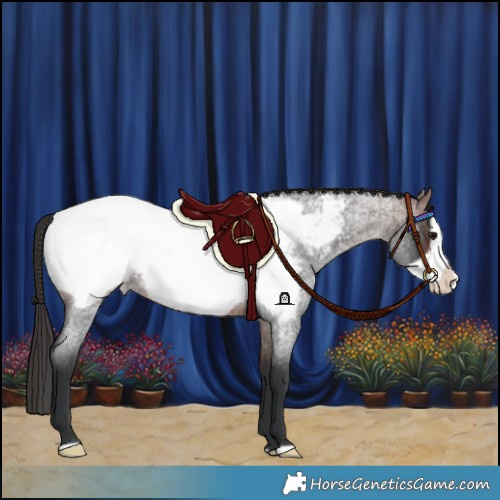 Horse Color:Brown Roan Frame Snowcap Rabicano 