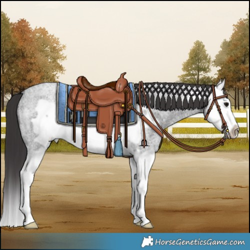 Horse Color:Smoky Blue Roan Splash Frame 