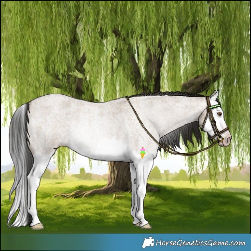 Horse Color:Gray Classic Champagne Roan Dun Splash 