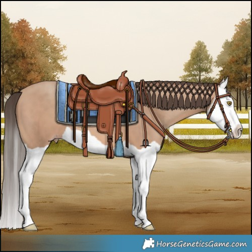 Horse Color:Amber Champagne Splash 
