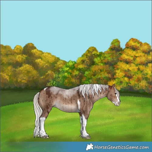 Horse Color:Silver Brown Dun Splash Tobiano Rabicano Brindle