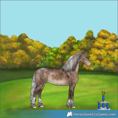 Horse Color:Silver Brown Dun Tobiano Appaloosa Rabicano Brindle 