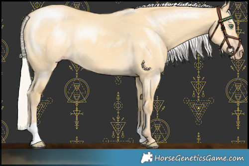 Horse Color:Silver Amber Cream Champagne Dun 