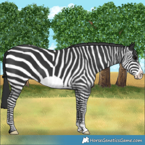 Horse Color:Black Frame 