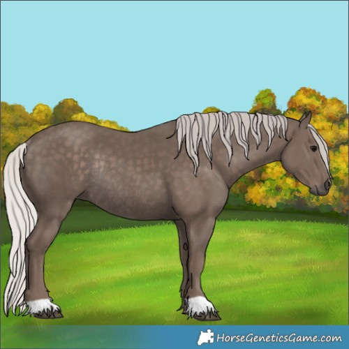 Horse Color:Silver Black Rabicano 