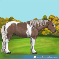 Horse Color:Silver Black Tobiano 