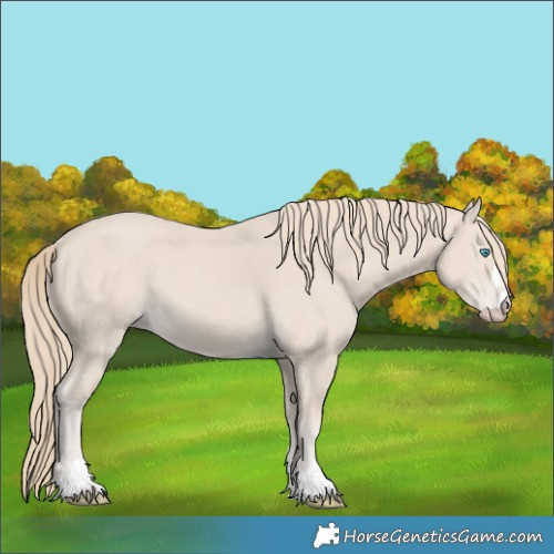 Horse Color:Smoky Creme 