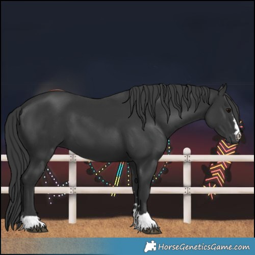 Horse Color:Black 