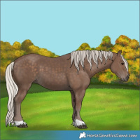 Horse Color:Silver Black