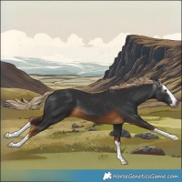 Horse Color:Gray Pseudo Chocolate Palomino Splash 