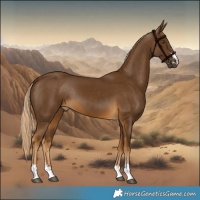 Horse Color:Pseudo Chocolate Palomino