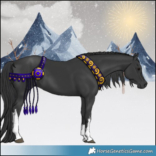 Horse Color:White Spotted Black