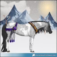 Horse Color:Blue Roan Tobiano 