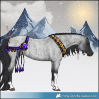 Horse Color:Blue Roan Tobiano 