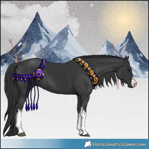 Horse Color:White Spotted Black 
