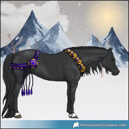 Horse Color:Black 