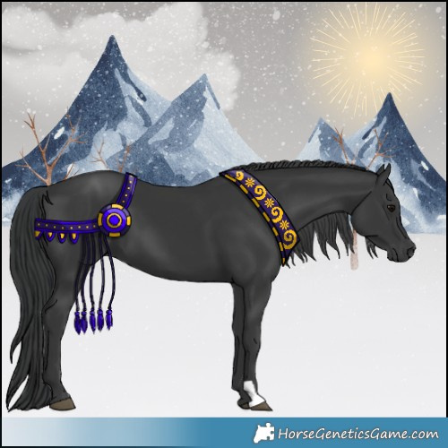 Horse Color:Black 