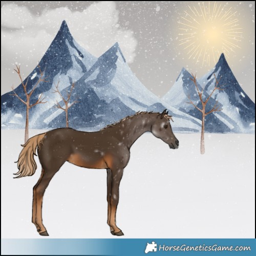 Horse Color:Gray Chocolate Palomino