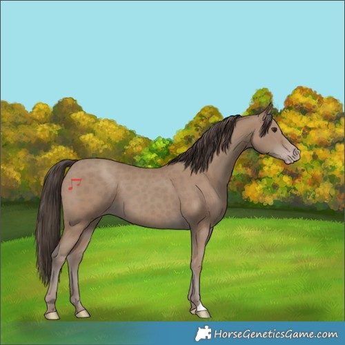 Horse Color:Classic Champagne