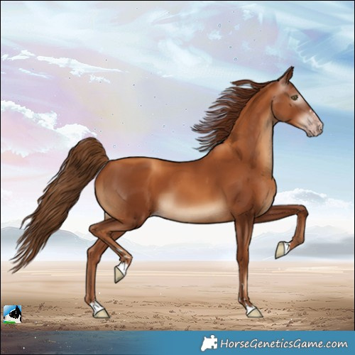Horse Color:Gray Gold Champagne