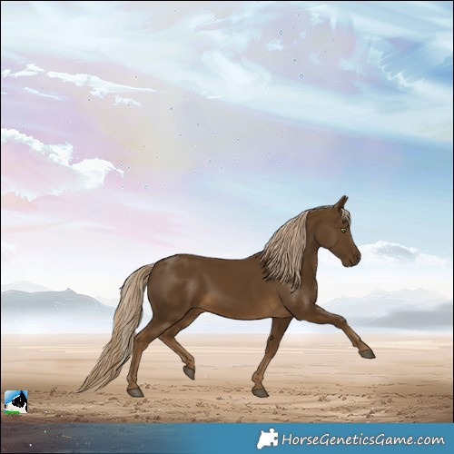 Horse Color:Pseudo Chocolate Palomino 