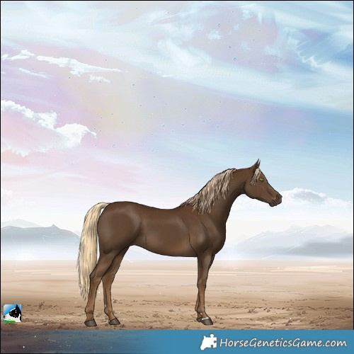 Horse Color:Pseudo Chocolate Palomino