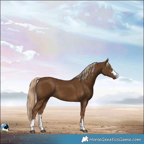 Horse Color:Pseudo Chocolate Palomino 