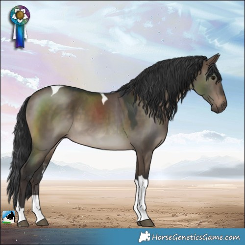 Horse Color:Brown Dun Tobiano 
