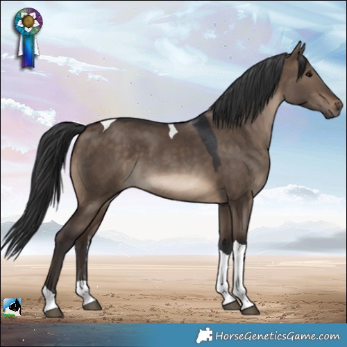 Horse Color:Brown Dun Tobiano