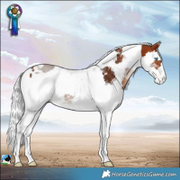 Horse Color:Bay Merle Tobiano Skewed LP Spotted 
