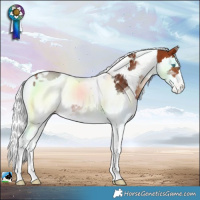 Horse Color:Bay Merle Tobiano Skewed LP Spotted