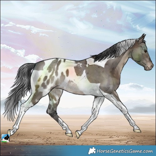 Horse Color:Brown Dun Merle Tobiano Skewed LP Spotted