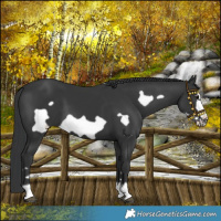 Horse Color:Black Frame