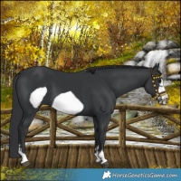 Horse Color:Black Frame 