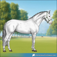 Horse Color:Black Sabino