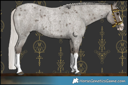 Horse Color:Silver Smoky Blue Roan Splash 