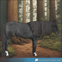 Horse Color:Black Varnish