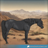 Horse Color:Black 