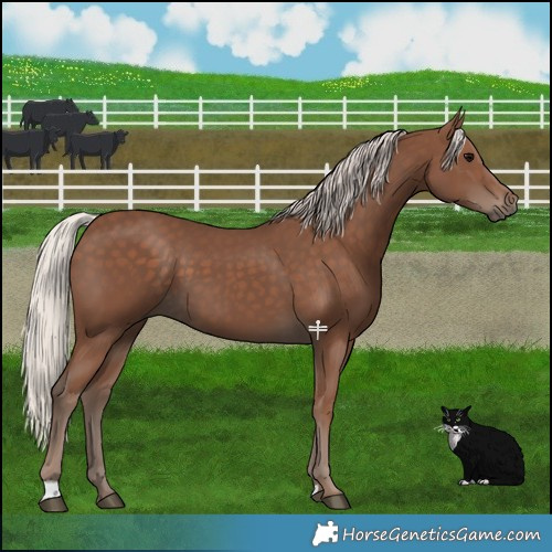 Horse Color:Silver Black 
