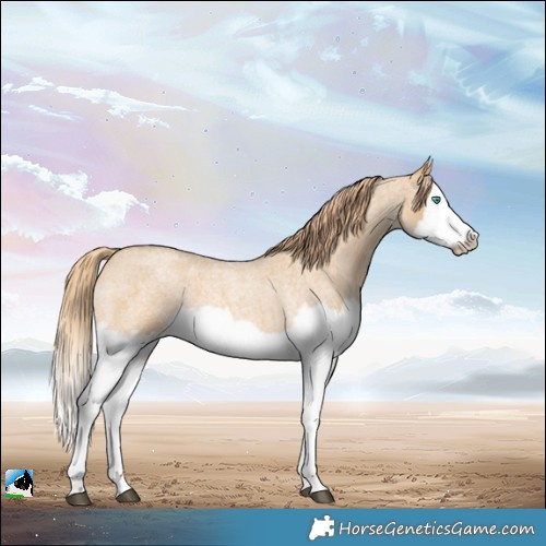 Horse Color:Red Dun Roan Splash Frame Rabicano 