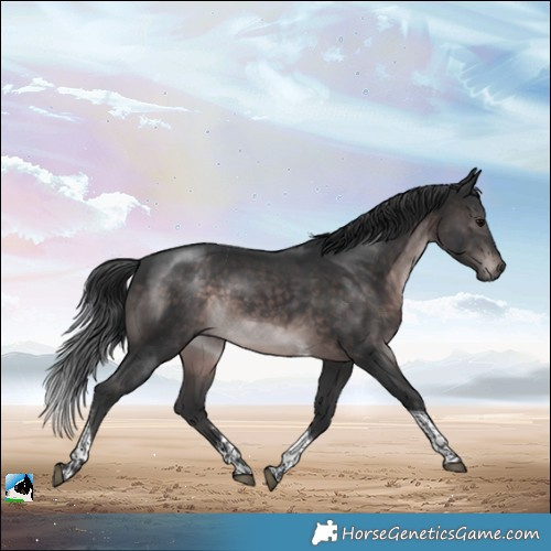 Horse Color:Platinum Brown Sabino Tobiano Rabicano 