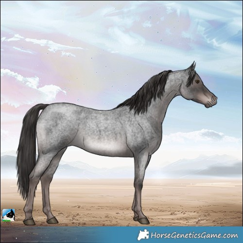 Horse Color:Platinum Liver Red Roan Rabicano 