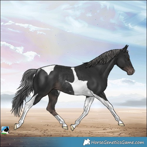 Horse Color:Platinum Liver Chestnut Mushroom Tobiano Rabicano 